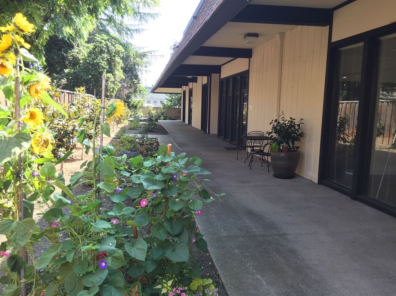 Mountain View MBC210: 2483 Old Middlefield Way, Mountain View, CA 94043